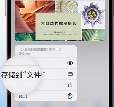 范县apple维修中心分享iPhone文件应用中存储和找到下载文件