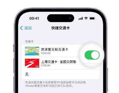 范县apple维修点分享iPhone上更换Apple Pay快捷交通卡手绘卡面 