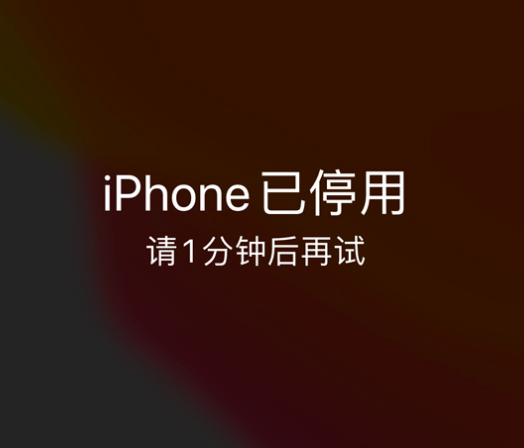 范县苹果手机维修分享:iPhone 显示“不可用”或“已停用”怎么办？还能保留数据吗？ 