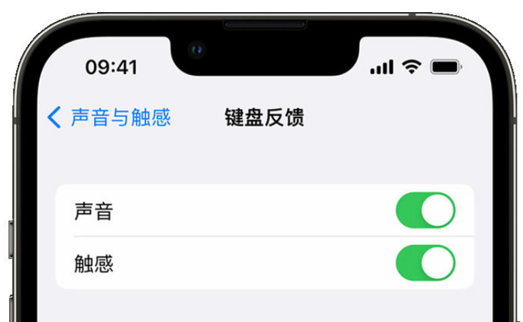 范县苹果手机维修分享iPhone 14触感键盘使用方法 