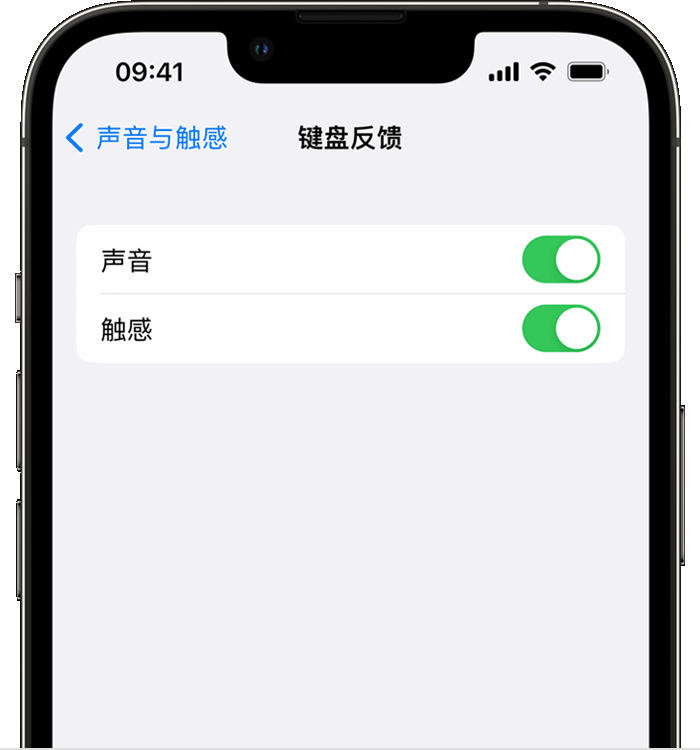 范县苹果14维修店分享如何在 iPhone 14 机型中使用触感键盘 