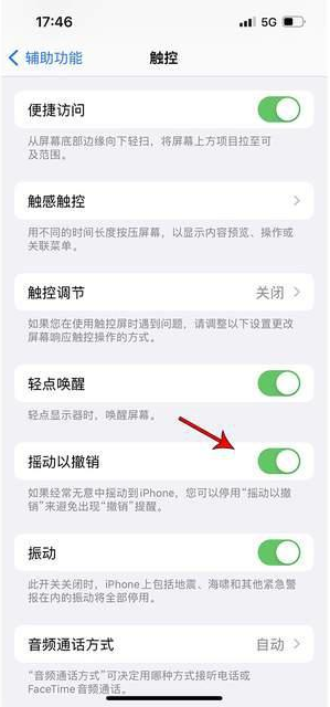 范县苹果手机维修分享iPhone手机如何设置摇一摇删除文字 